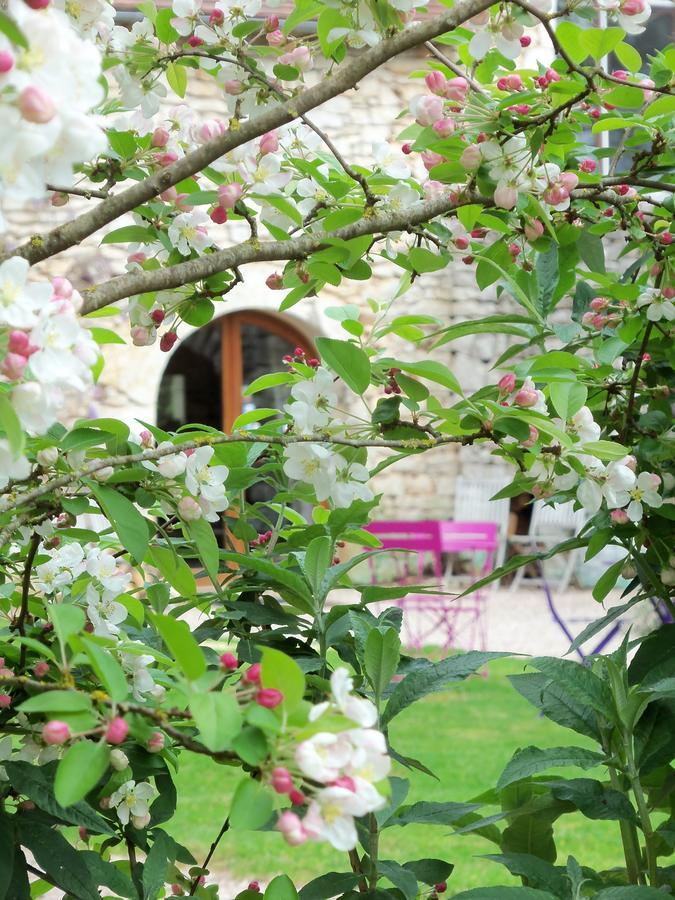 Chambres Et Jardin De Pierres Espedaillac Ngoại thất bức ảnh